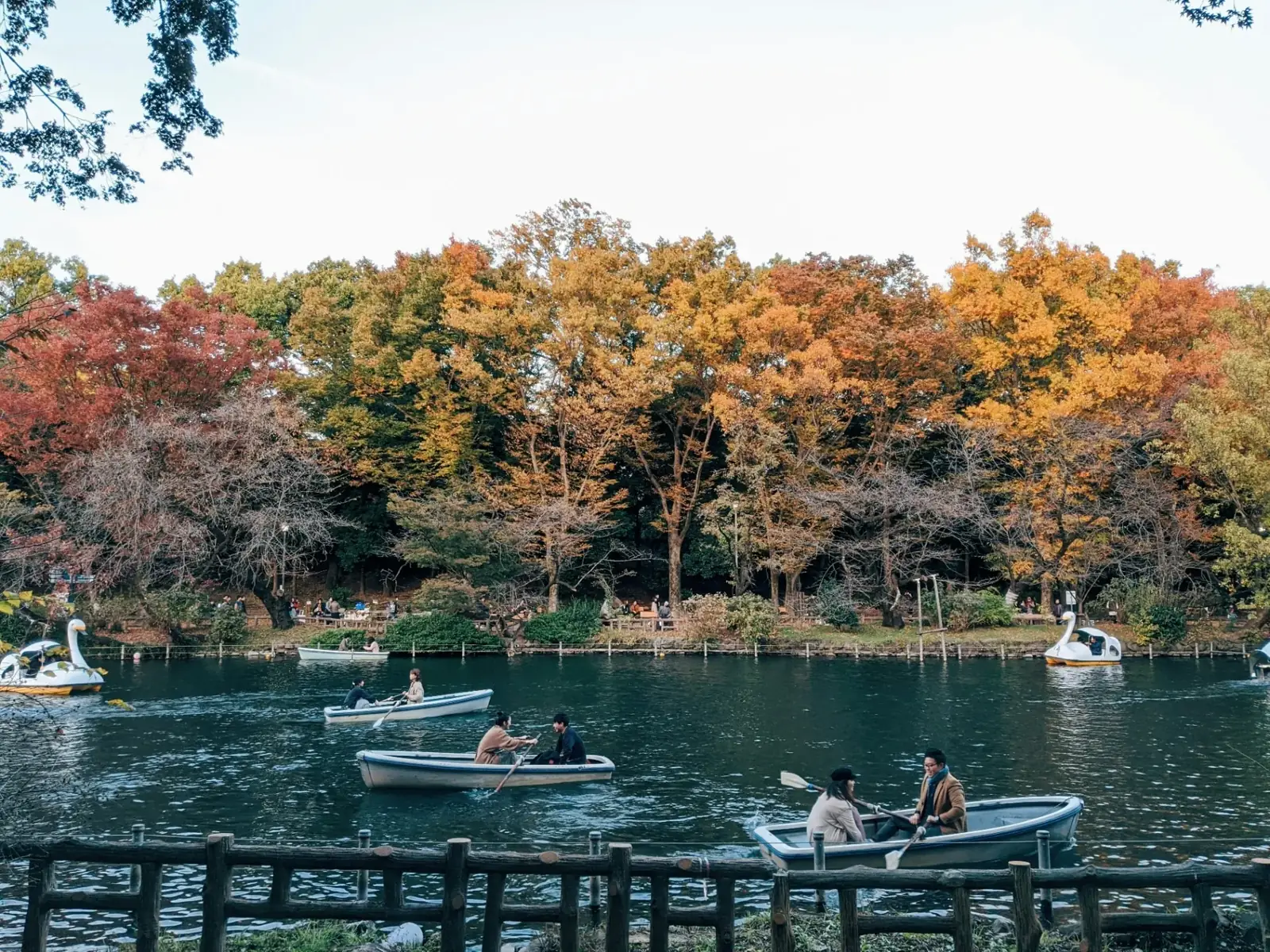 Inokashira-parken