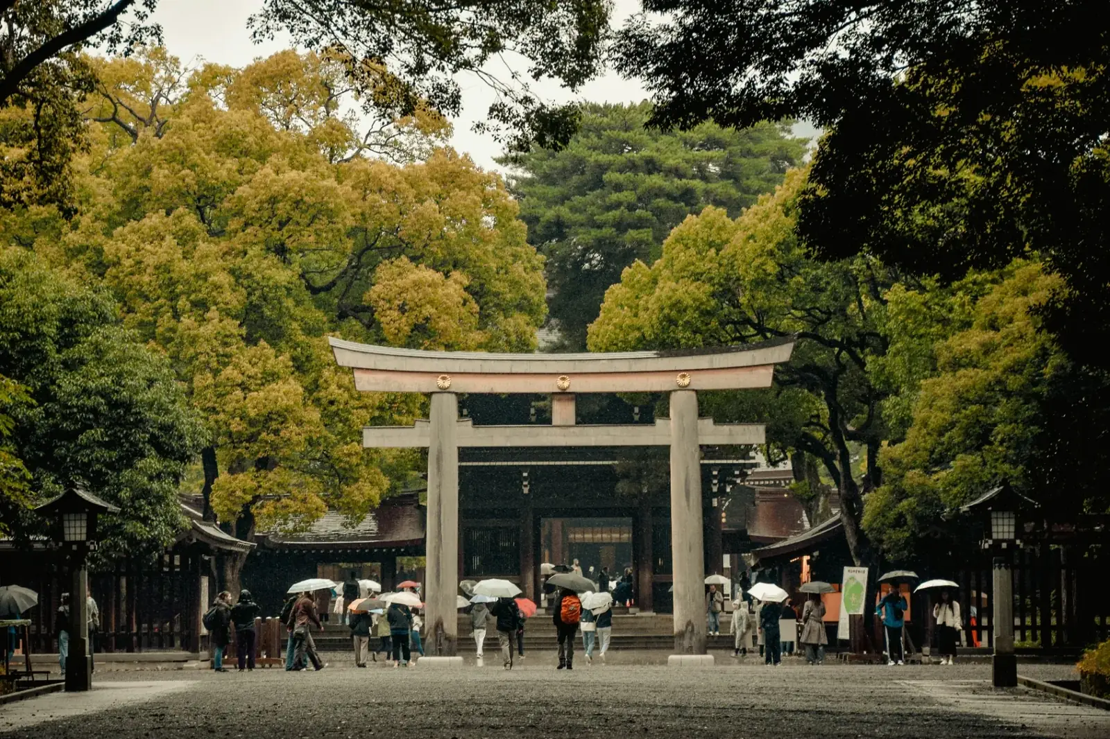 Meiji-helgedomen (Meiji Jingu)