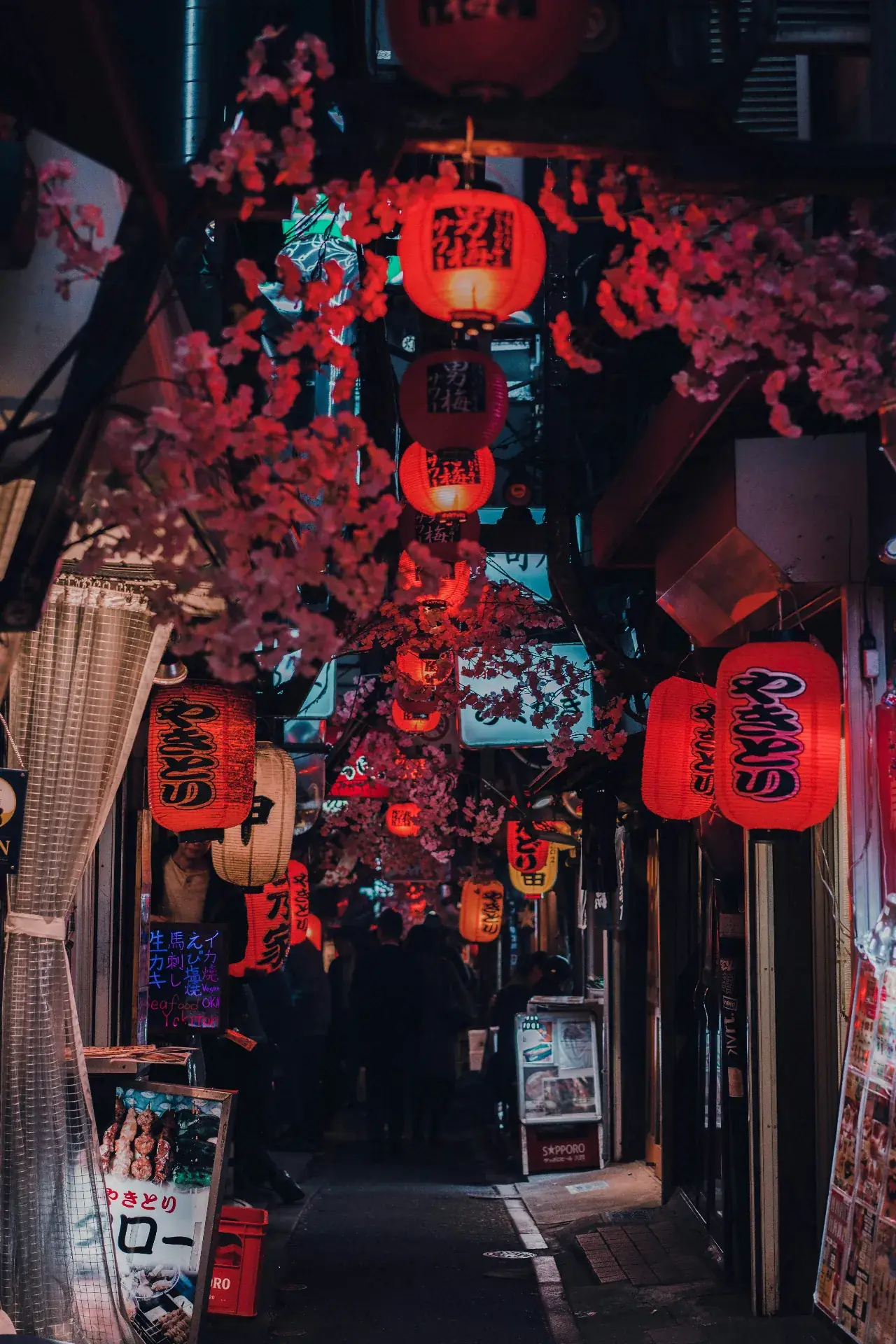 Omoide Yokocho (Minnesgränden)