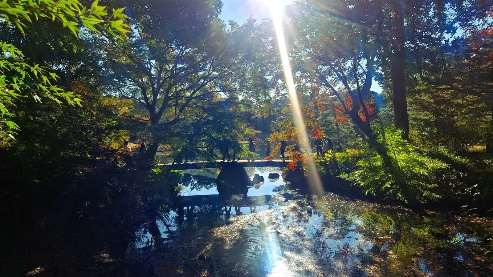 Rikugien-trädgården