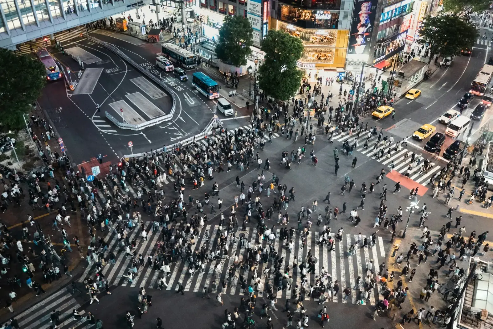 Shibuya Crossing
