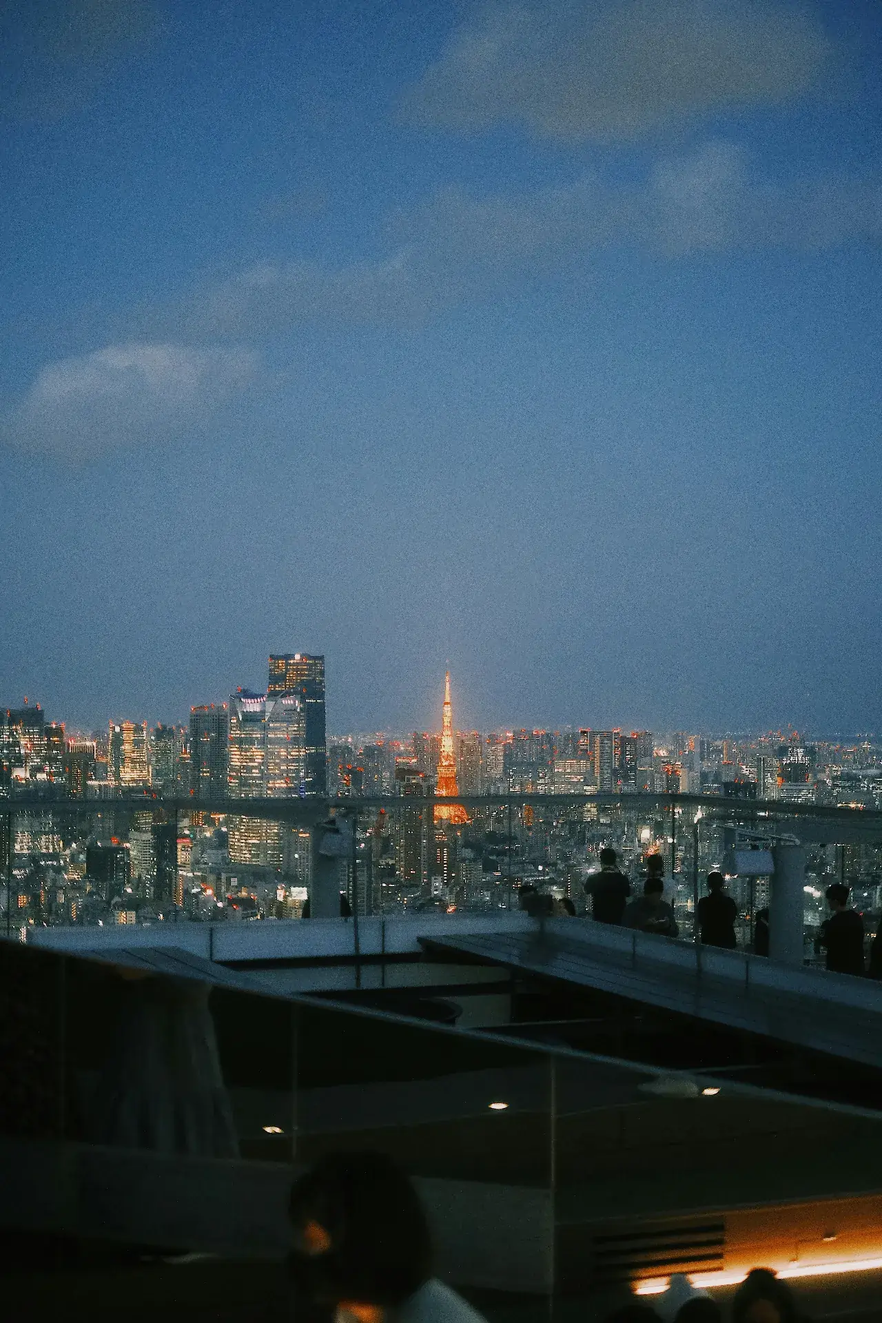 Shibuya Sky (Valfritt)