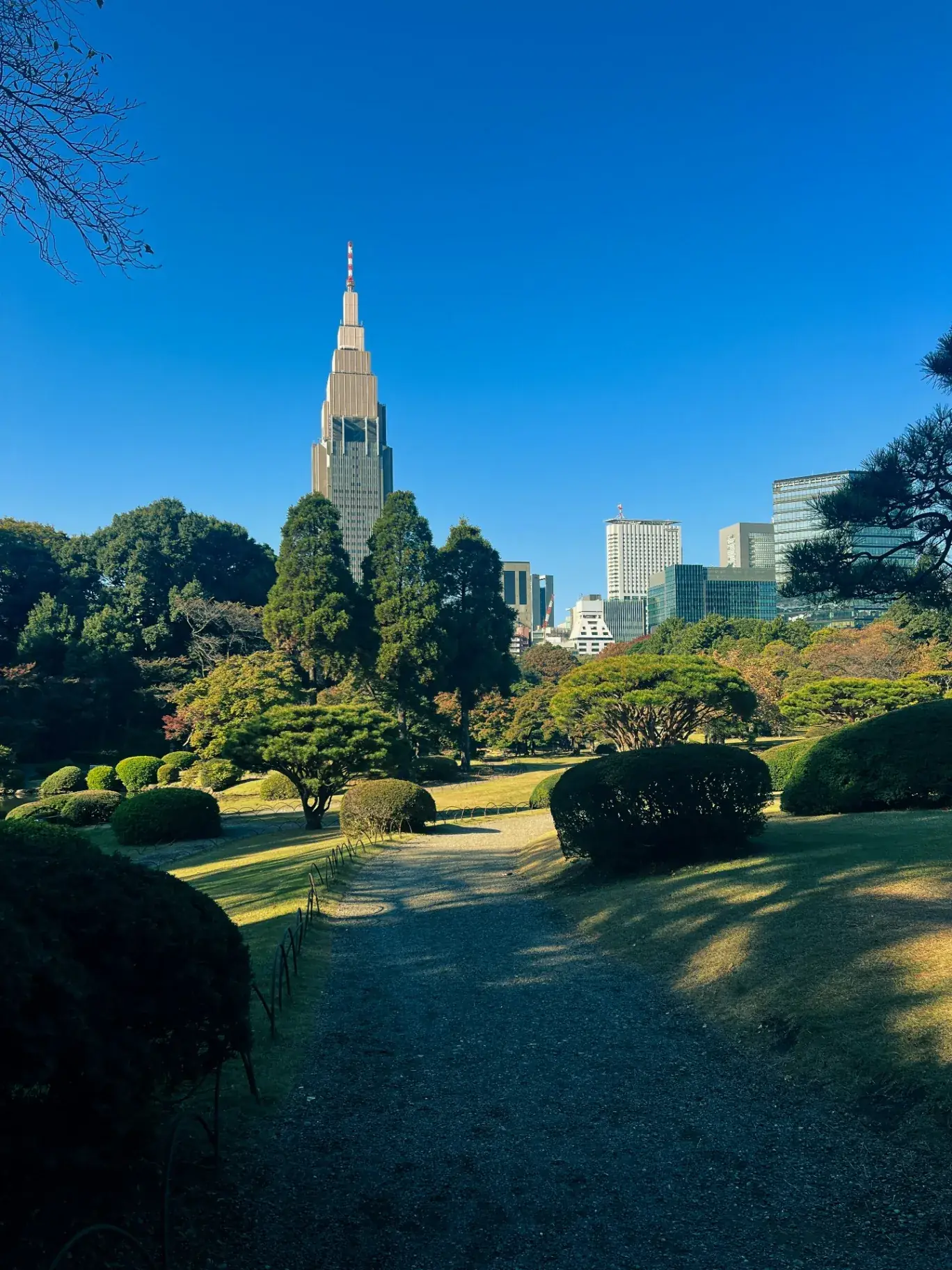 Shinjuku Gyoen Nationalträdgård