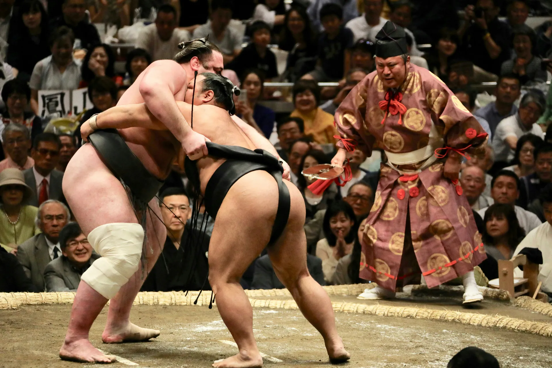 Sumotur