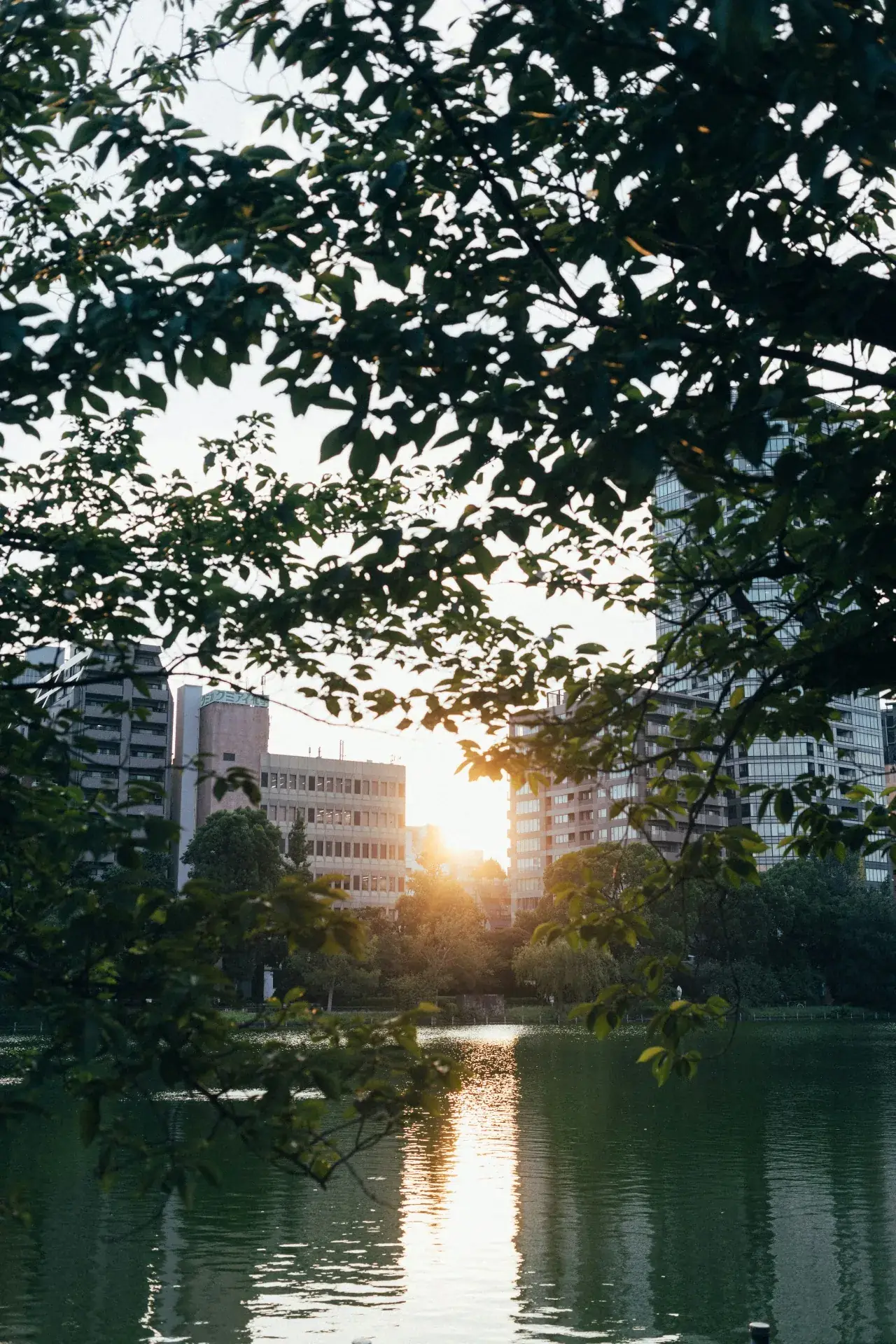 Ueno-parken