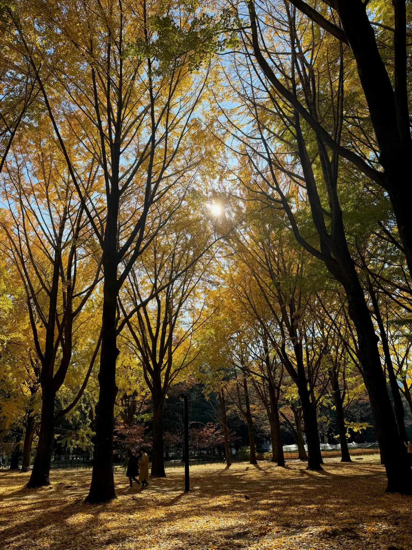 Yoyogi Park